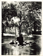 ANCIENNE PHOTOGRAPHIE 1958 ARCHITECTURE AVIGNON JARDIN PALAIS DES PAPES FONTAINE