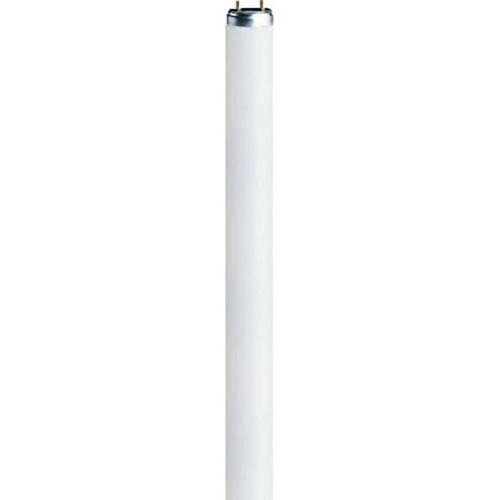 O1067241 osram tube néon - [o1067241],