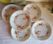 5 Assiettes à Creuses en