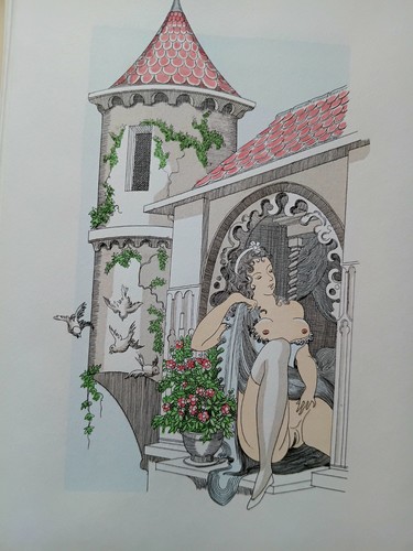 Michel siméon cécile curiosa - siméon,