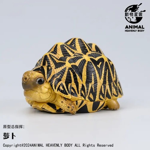 Stock animal heavenly - 【in-stock】animal,