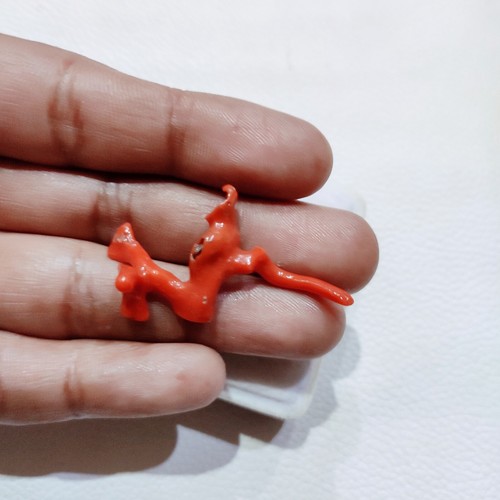 Branche corail naturel - de,