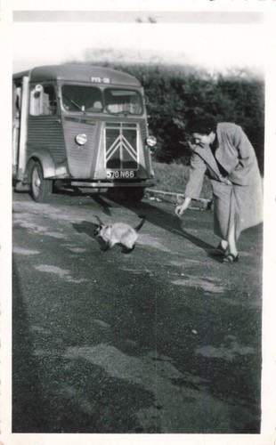 Ancienne photographie 1953 - photographie,