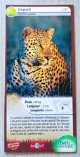 CARTE MERVEILLES DU MONDE -