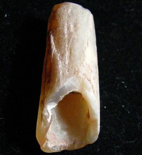 Fossile pipe belemnite - o&co,