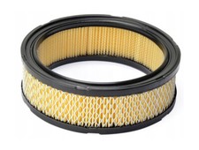 Filtre à air pour Briggs &