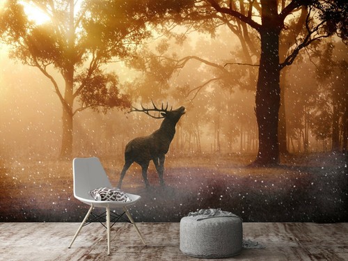 Papier peint animal - , cerf