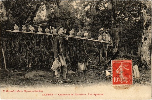 Cpa landes chasseurs - landes, de