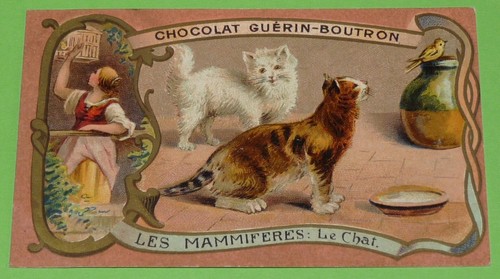 Chromo 1905 1914 chocolat - chromo, 1905-1914