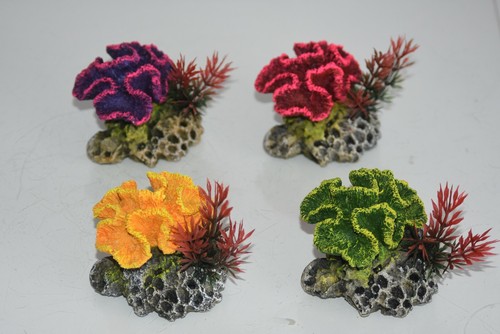 Aquarium détaillé corail - m,