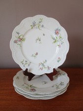Assiettes plates cm en - plates,