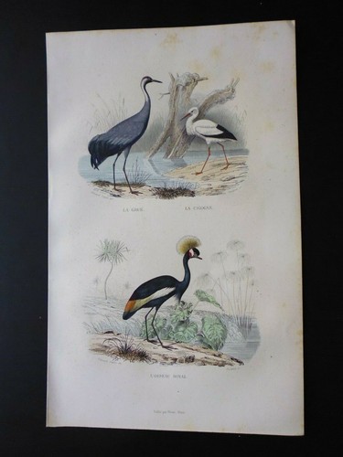 Gravure couleur - , de