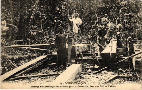 French congo foret alima - french,