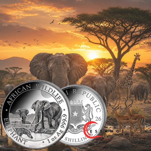 Somalie 2026 éléphant - somalie,, 2026,