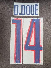 Flocage Officiel Psg 2024/2025