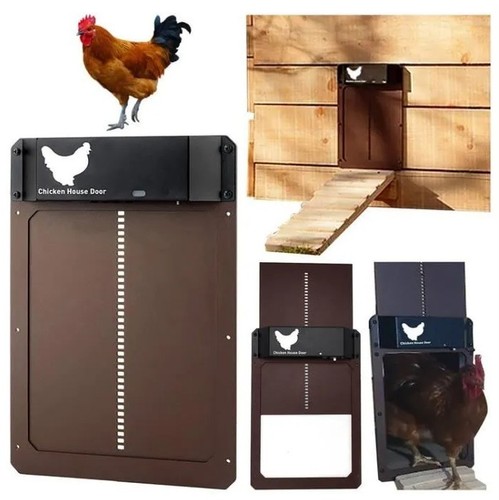 Porte poulailler automatique - porte,