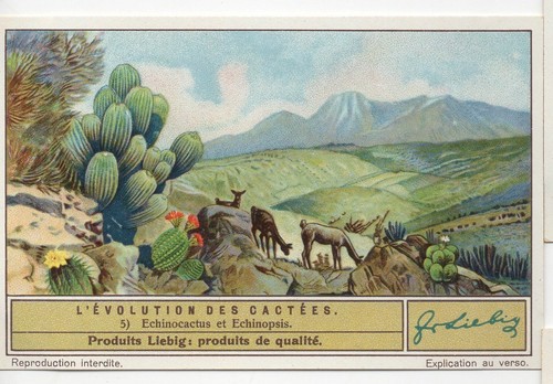 S1309 chromo liebig - chromo,