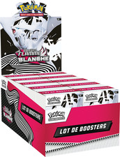 Pokemon Display Bundle Flamme