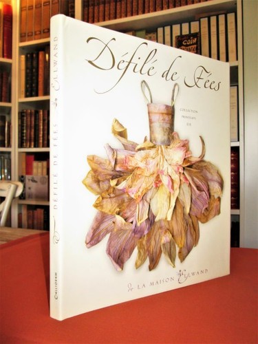Défilé fées la maison - défilé, de