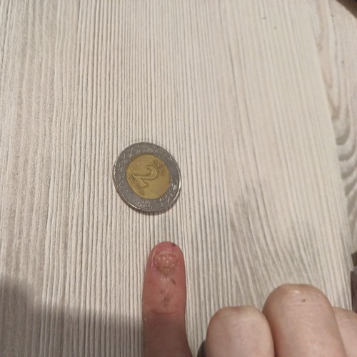 Pièce argent - pièce,