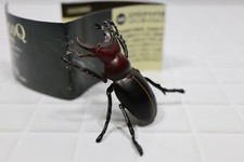 Figurine miniature Kaiyodo