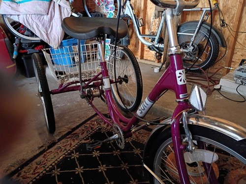 Sun bicycles trike adult - sun,