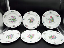 LUNEVILLE-REVERBERE-6 GRANDES ASSIETTES DE PRESENTATION TRAITEUR - Ø 27-LOT N°9