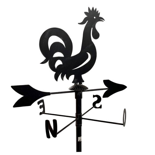 Gallo galletto signe - galletto, signe-vent