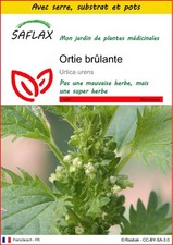 SAFLAX - Kit de culture -