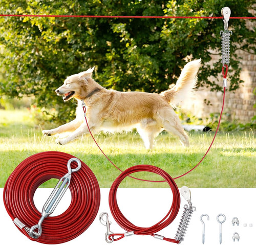 Chemin couloir pour chien - de,