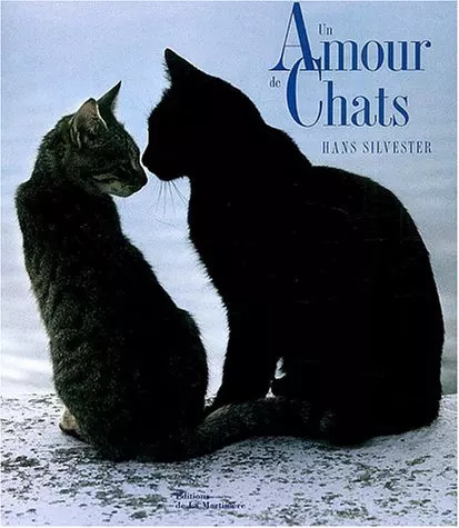 Amour chats hans - un,