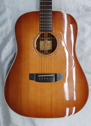 Guitare acoustique électrique