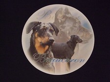 Tapis de souris - BEAUCERON ARLEQUIN