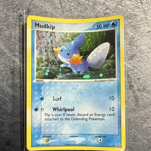 Pokémon tcg mudkip holo - pokémon,