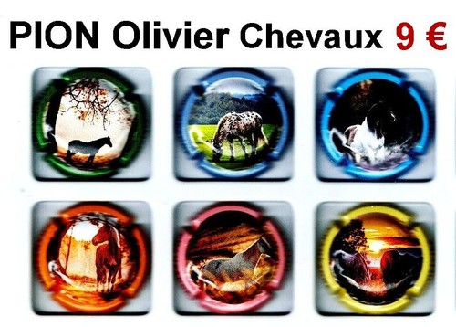 Capsules champagne pion - ,