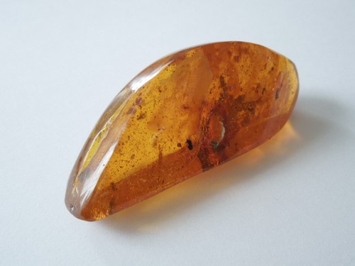 Inclusions insectes ambre - inclusions, en