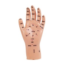 Modèle mannequin modèle de