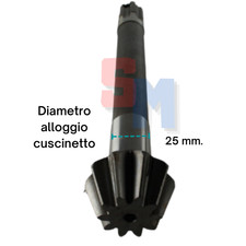 Pignon Goldoni Dents 10 Fraise