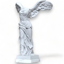 Nike victory wing - victory,