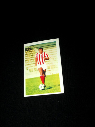 Tassone ajaccio aca - ,
