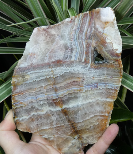 Tranche agate polie - d’agate,