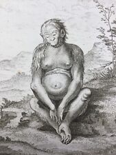 Gorille d’Angola 1746 Primatologie Singe d’Angola présenté au Prince d’Orange