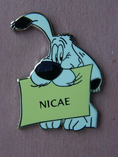 Idefix nicae le tour - idefix,