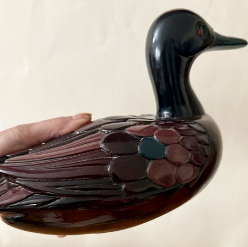 Superbe grand canard - grand,