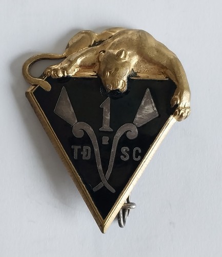 Insigne indochine 1er tdsc - indochine,