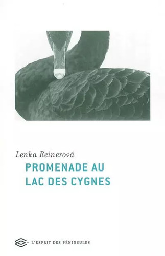 Promenade lac des cygnes - lac,