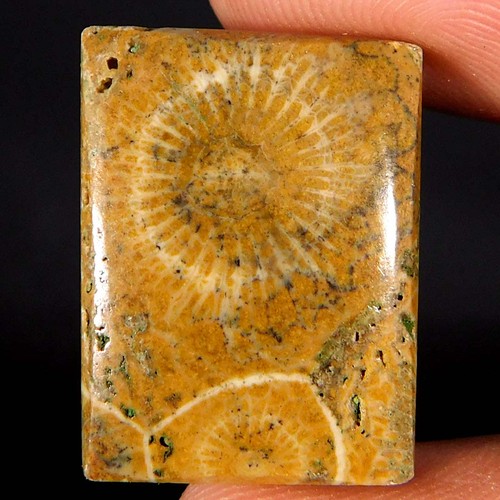 10cts merveilleux cabochon - 17.10cts.,