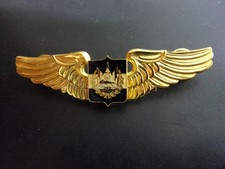 Aviation . Pilote Armée de