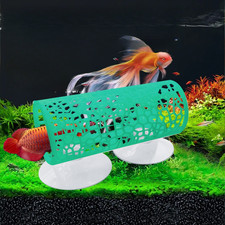 Betta Fish Tunnel Aquarium