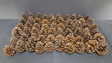 60x Pomme de Pin 100% Naturel